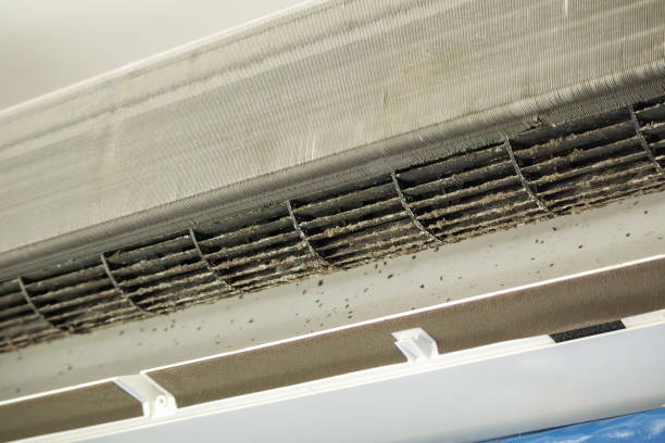 Best Affordable Duct Cleaning Services  in Helena Flats, MT